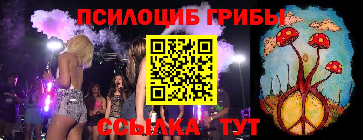 Галлюциногенные грибы Psilocybe  Вход с VPN  Рославль 