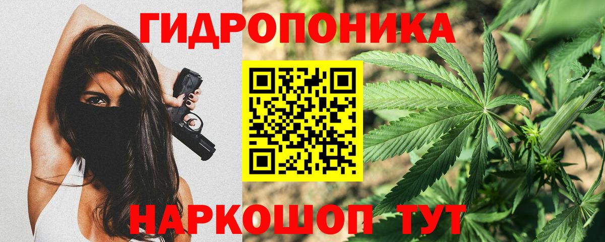 Шишки марихуана семена  Канабис OG Kush  МАРИХУАНА SATIVA & INDICA  Вход с VPN  Рославль 
